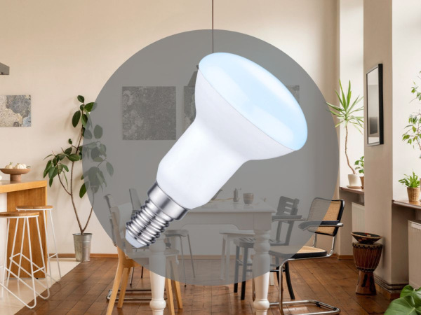 LED žiarovka 6W - R50 / E14 / SMD / 6500K - ZLS205 4