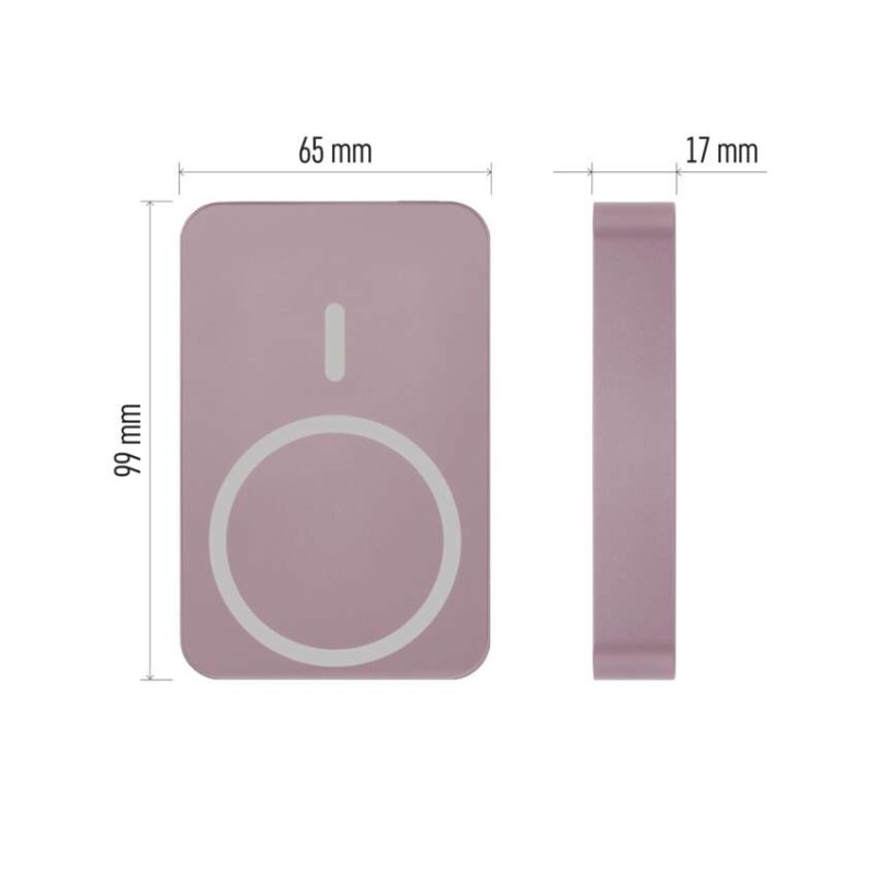 EMOS POWERBANKA WI 1046 10000MAH LOSOSOV 1