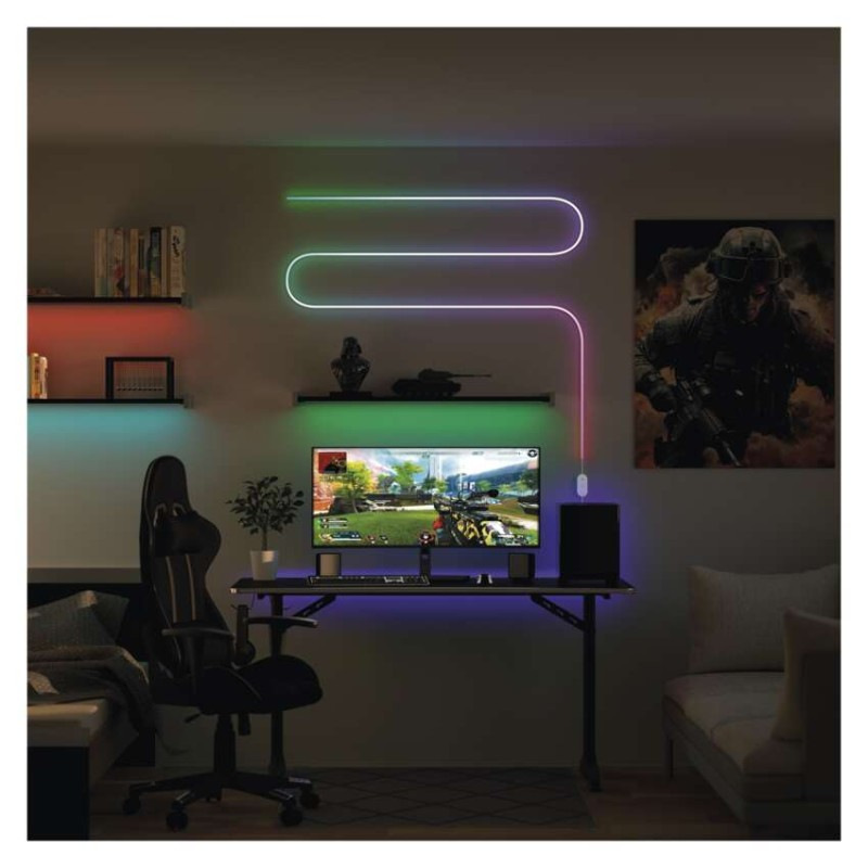 GOSMART LED NEON STRIP 3M 12