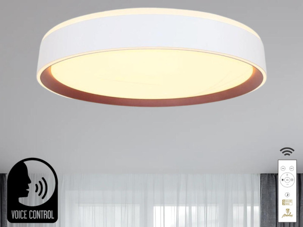 LED stropná lampa OPAL + DO + OVLÁDANIE HLASOM 48W - LC902MV 6