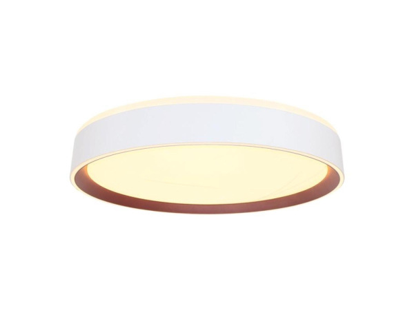 LED stropná lampa OPAL + DO + OVLÁDANIE HLASOM 48W - LC902MV 7