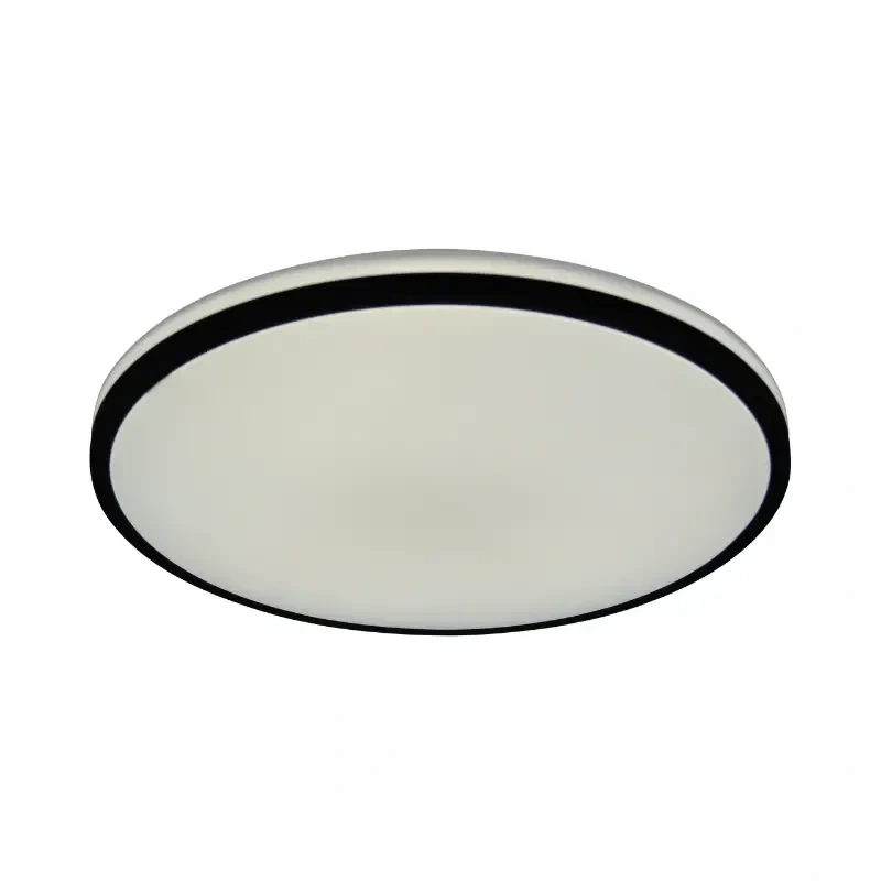 LED stropné svietidlo OPAL + diaľkový ovládač 36W - LCL534BT 3