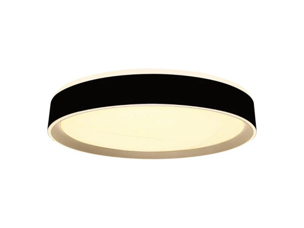 LED stropná lampa OPAL + DO + OVLÁDANIE HLASOM 48W - LC902MBV 7