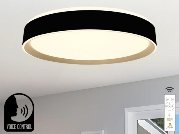 LED stropná lampa OPAL + DO + OVLÁDANIE HLASOM 48W - LC902MBV 4