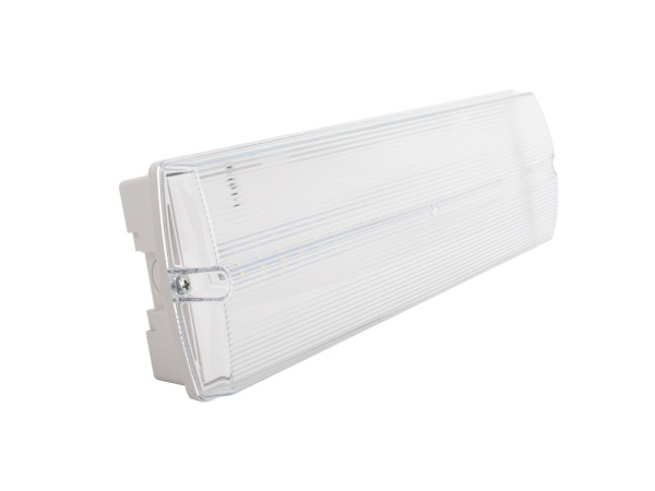 LED núdzové svietidlo 4W /3h / IP65 - LEL102 10