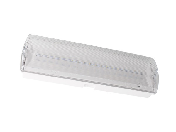 LED núdzové svietidlo 4W /3h / IP65 - LEL102 4