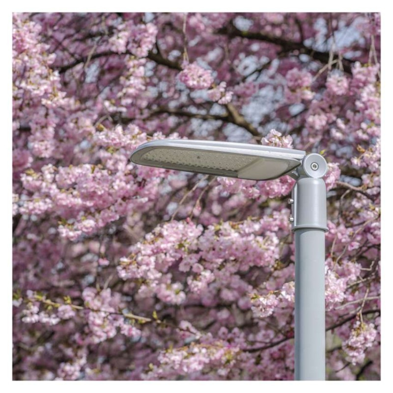 LED Street light SOLIS 70W 8400LM NW 10