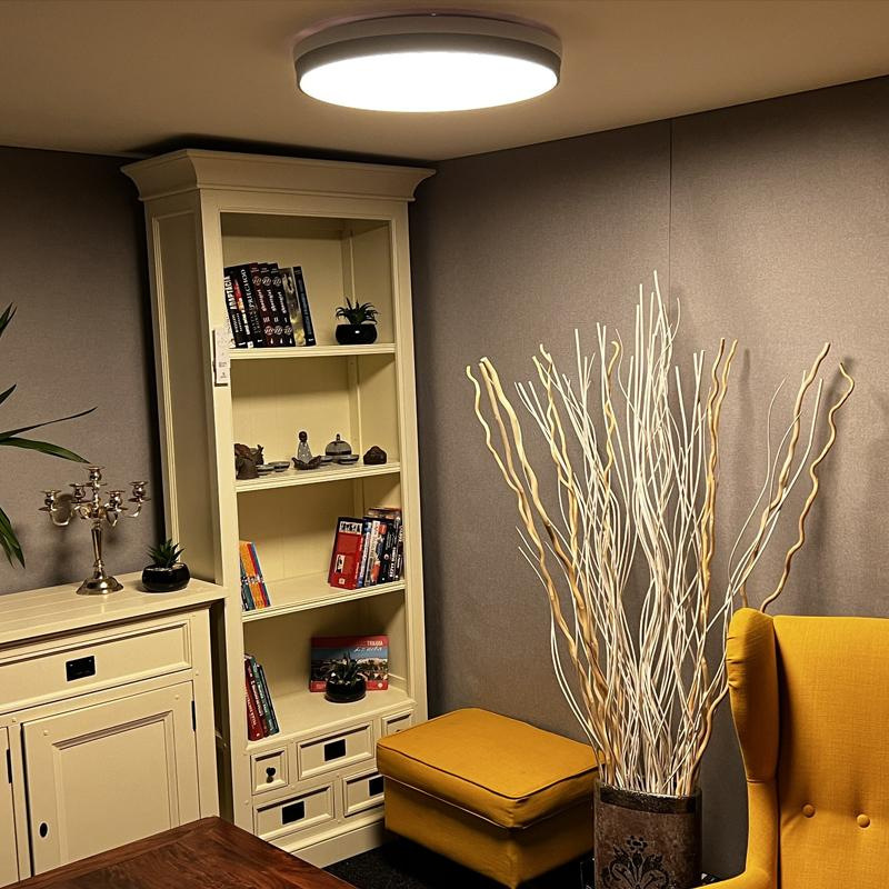 LED stropná lampa OPAL + diaľkový ovládač + Wifi 48W - LC902I 9