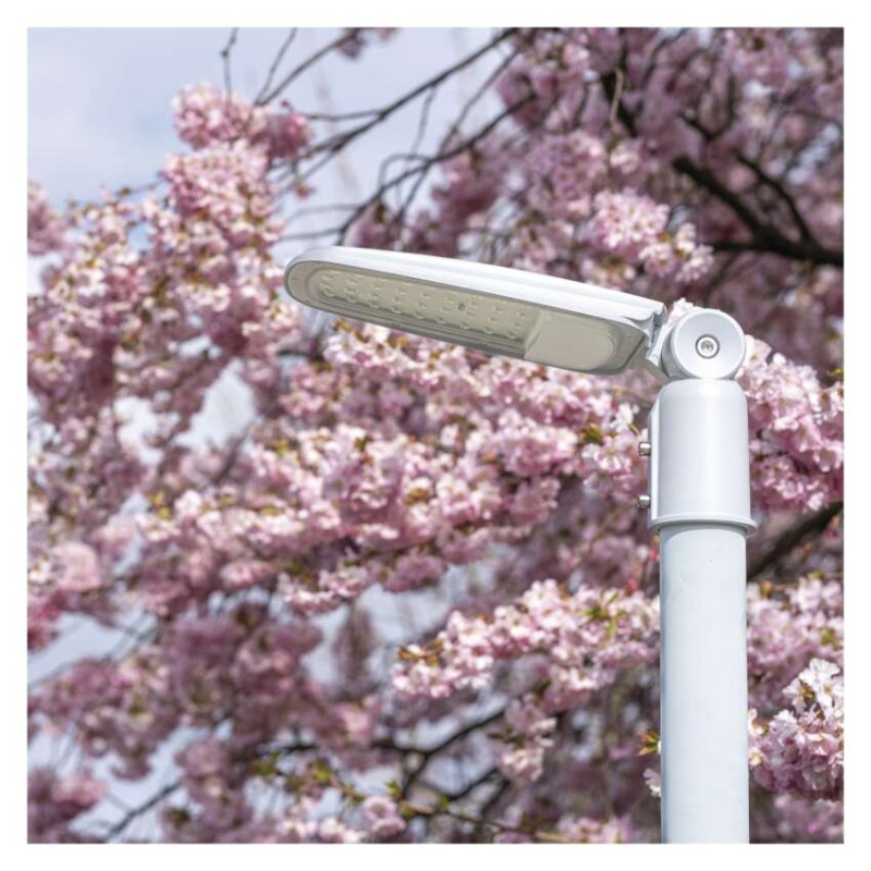 LED Street light SOLIS 30W 3600LM NW 9