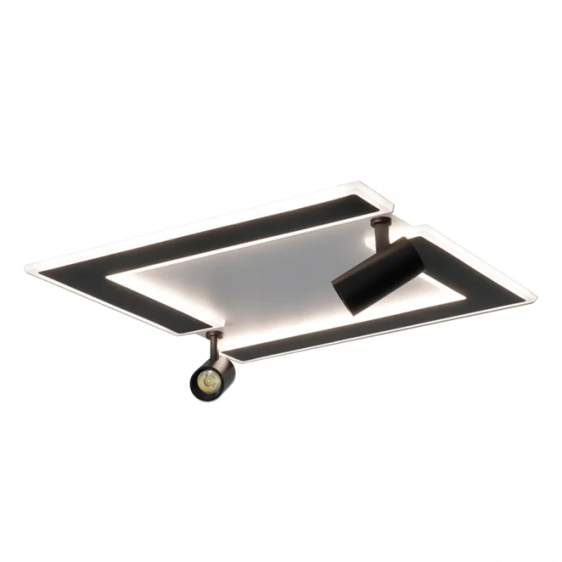 LED stropné svietidlo s diaľkovým ovládačom 80W - TA1319/WB 12