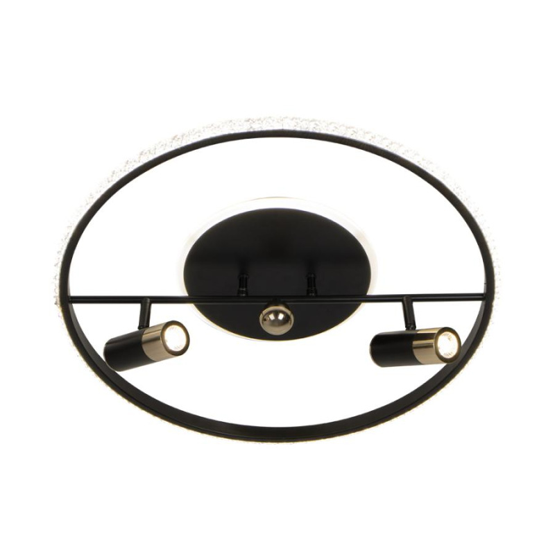 LED stropné svietidlo s diaľkovým ovládačom 60W - TA1333/B 10