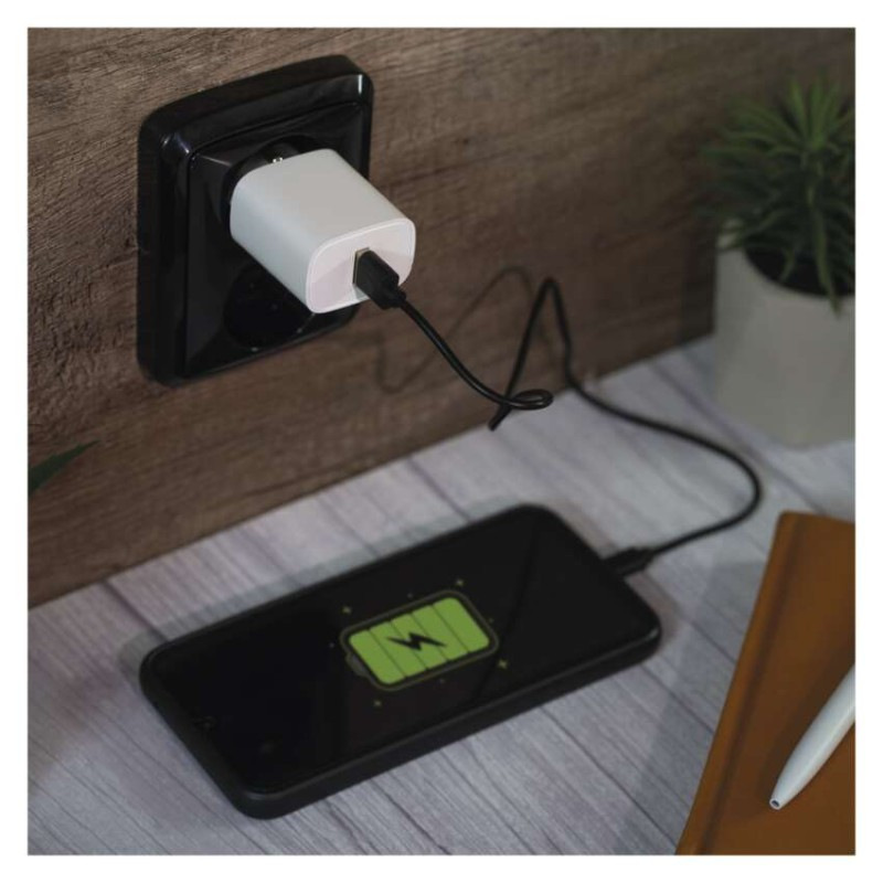 USB ADAPTÉR BASIC SÍŤ 10W; A 10
