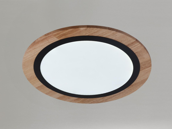 LED stropné svietidlo s diaľkovým ovládačom 25W - J1352/BW 9