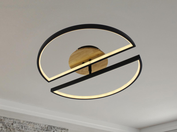 LED stropné svietidlo s diaľkovým ovládačom 75W - TA1303/BW 14