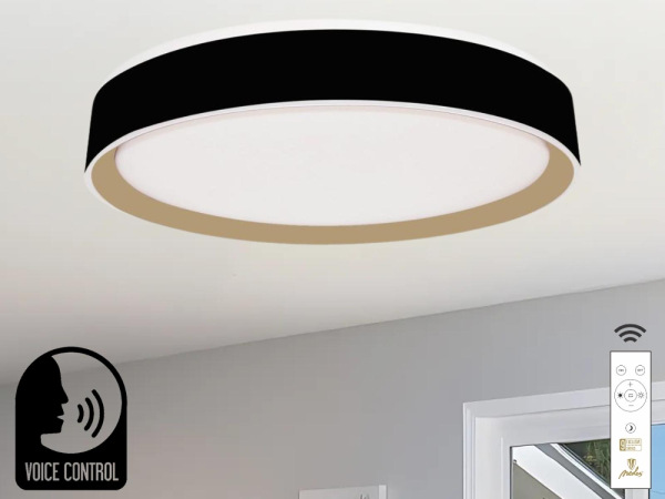 LED stropná lampa OPAL + DO + OVLÁDANIE HLASOM 48W - LC902MBV