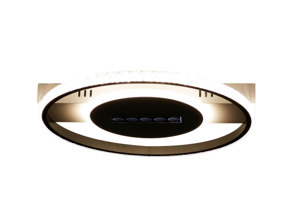 LED stropné svietidlo s diaľkovým ovládačom 60W - TA1330/WB 8