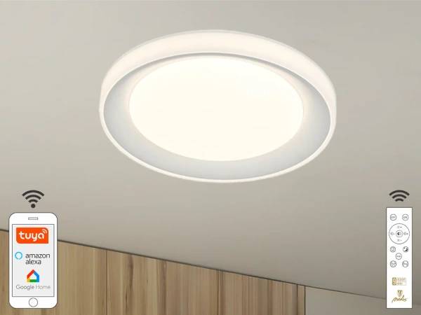 LED stropná lampa OPAL RGB + CCT + diaľkový ovládač + Wifi 24W - LC951U 5