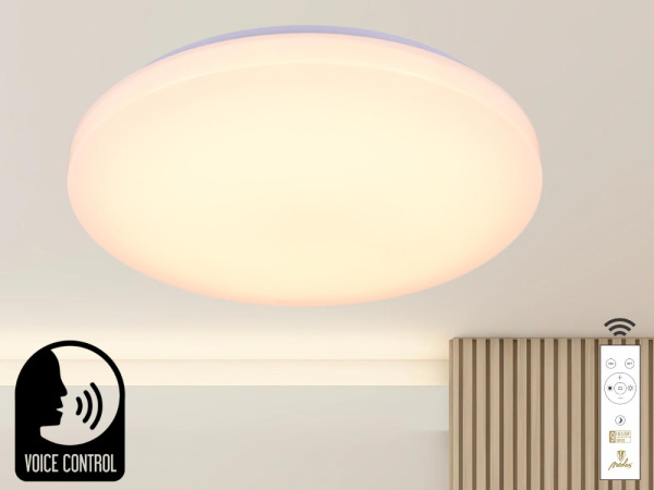 LED stropná lampa OPAL + DO + OVLÁDANIE HLASOM 48W - LC902SV 1