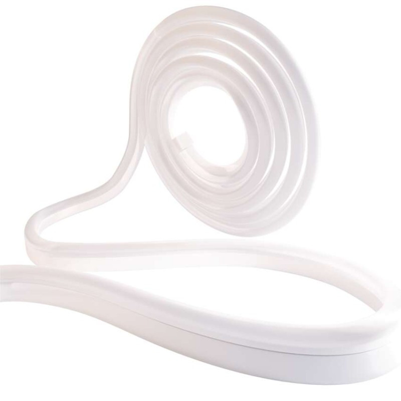 GOSMART LED NEON STRIP 5M